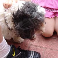 picture-007_8138971073_o