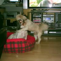 Beckham_Zoe
