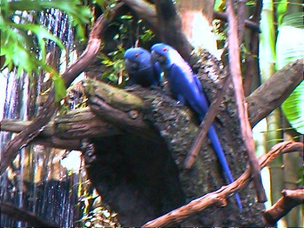 01-00083_12160907556_o