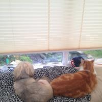 img_0539_12240940735_o