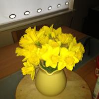 img_0655_12241269224_o
