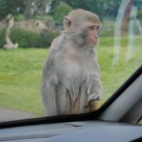 dsc_0925_12138888394_o