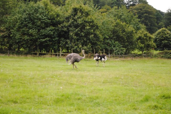 dsc_0927_12138886734_o