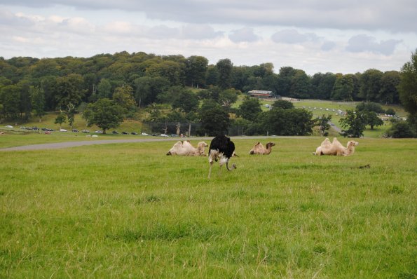 dsc_0928_12139138456_o