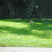 dsc_0941_12139130376_o