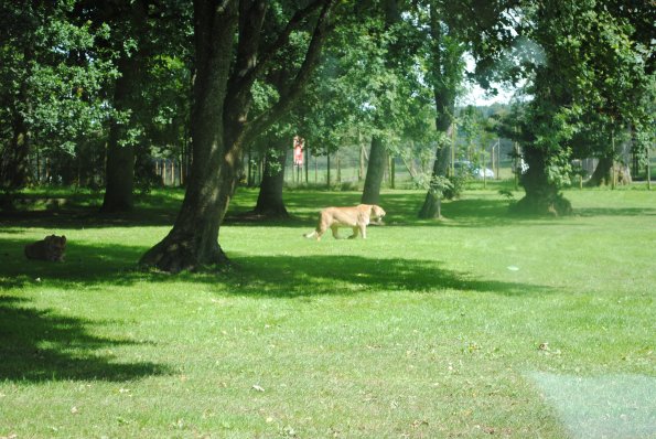 dsc_0946_12138875044_o