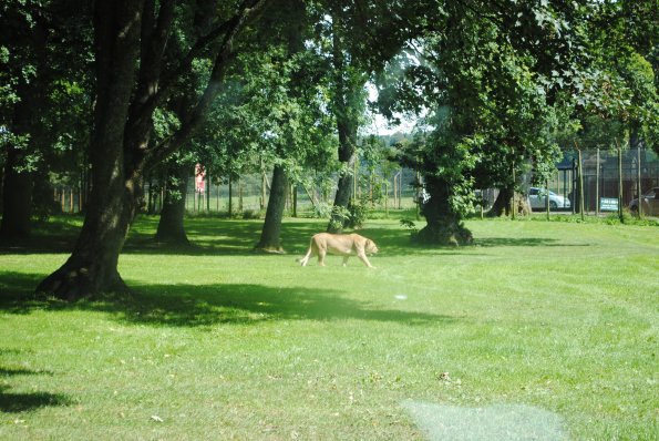 dsc_0948_12138652764_o