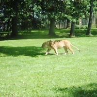 dsc_0949_12138875284_o