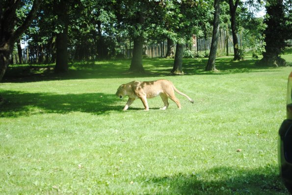 dsc_0949_12138875284_o