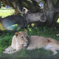 dsc_0956_12139120726_o