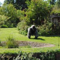 dsc_0980_12139104746_o