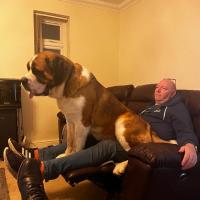 pets_53905650362_o