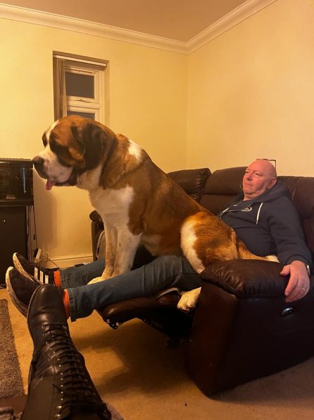 pets_53905650362_o