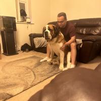 pets_53905739142_o