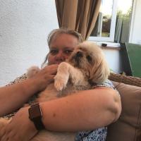 pets_53905746347_o