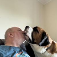 pets_53906554546_o