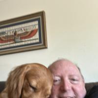 pets_53906587706_o