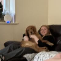 pets_53906819053_o