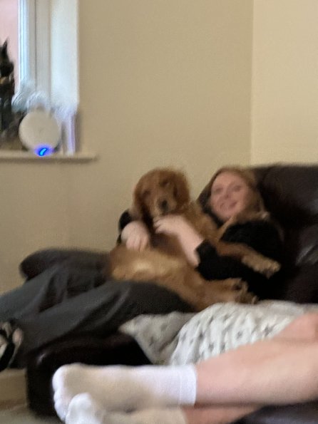 pets_53906819053_o