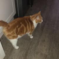 pets_53906985229_o