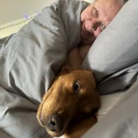 pets_53906999985_o