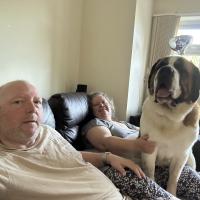 pets_53907003815_o