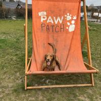 pets_53907038190_o