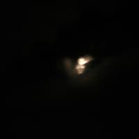 picture-165_8138454988_o