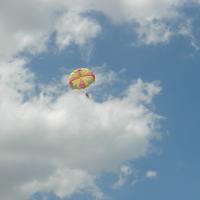 picture-178_8138416389_o