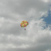 picture-180_8138415317_o