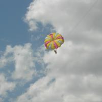 picture-181_8138414809_o