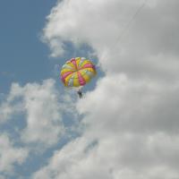 picture-182_8138446190_o